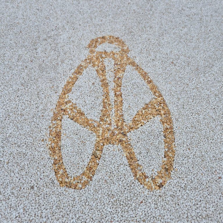Allée en béton noir drainant menant à une porte d'entrée, entourée de gazon et de plantes.