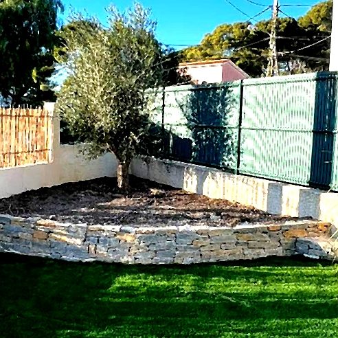 Un coin de jardin avec un olivier, muret en pierre et clôture rigide dans les bouches du rhones.